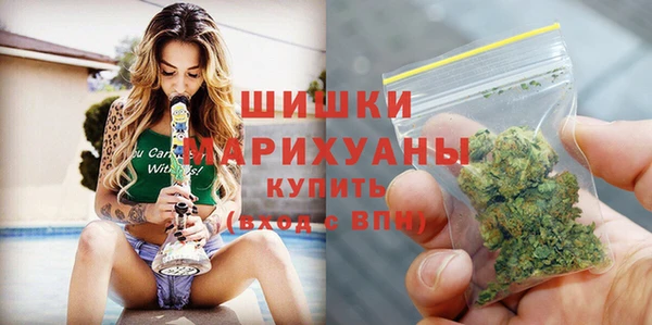 ПСИЛОЦИБИНОВЫЕ ГРИБЫ Арсеньев
