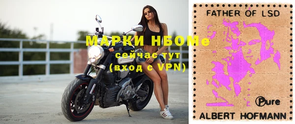 ПСИЛОЦИБИНОВЫЕ ГРИБЫ Арсеньев
