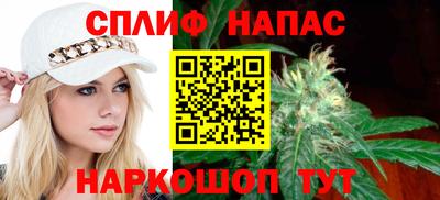 молекула духа Новозыбков