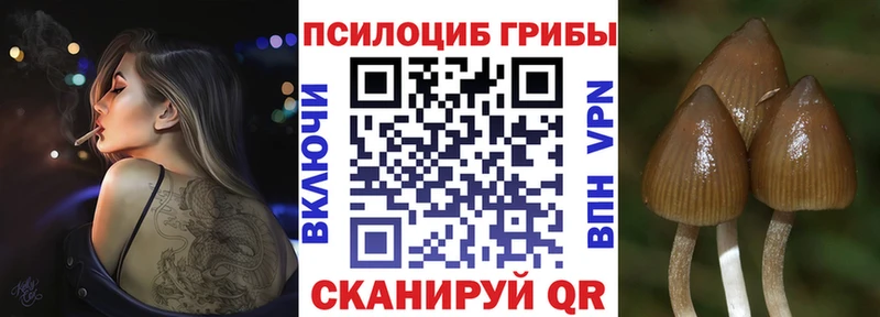 ОМГ ОМГ ONION  Строитель  Галлюциногенные грибы прущие грибы  купить наркотики цена 