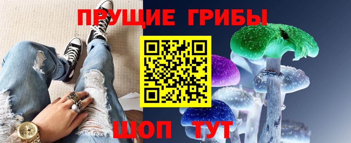 Галлюциногенные грибы прущие грибы  Галлюциногенные грибы Cubensis  Вход с VPN  Строитель 