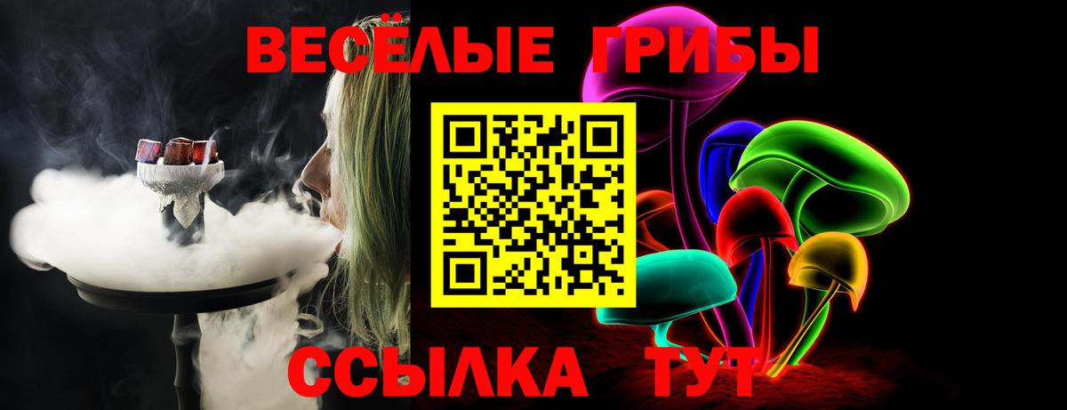 Псилоцибиновые грибы ЛСД Строитель