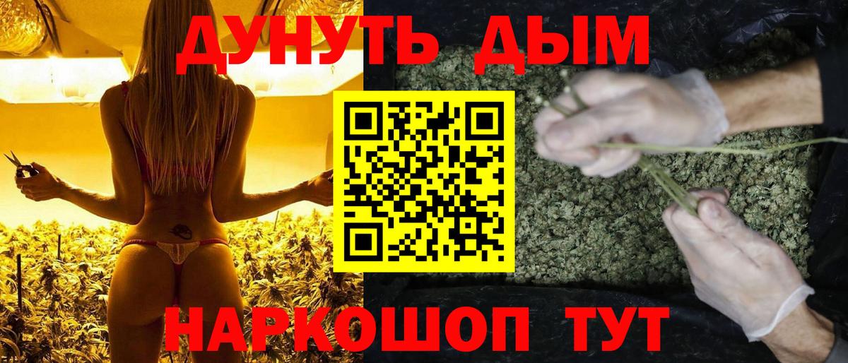 Каннабис семена  Бошки Шишки White Widow  Вход с VPN  Строитель 